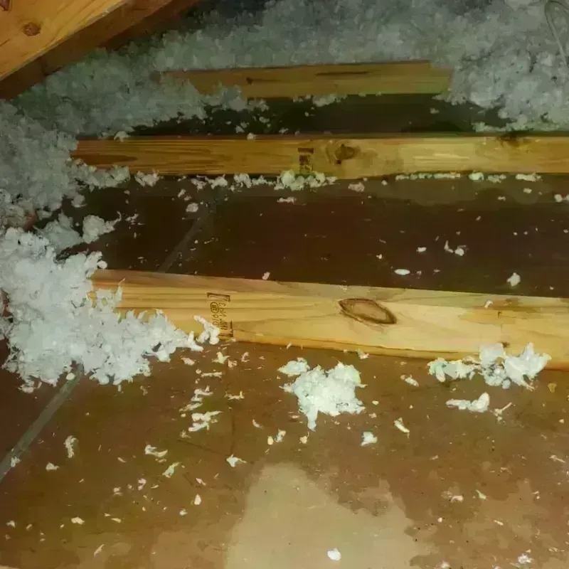 Attic Water Damage in Phillips County, KS