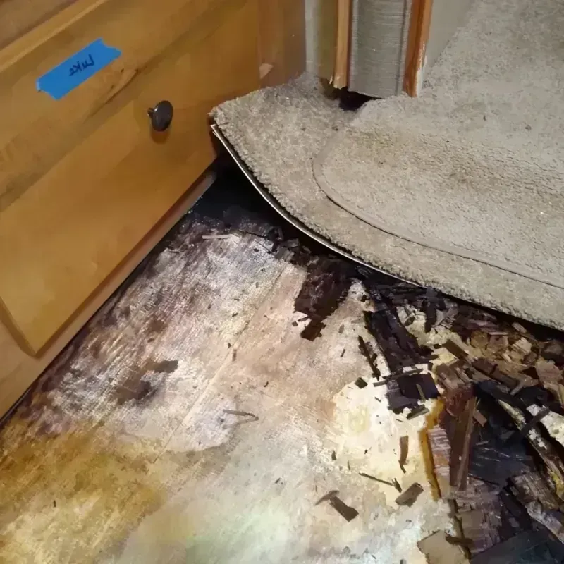 Wood Floor Water Damage in Phillips County, KS